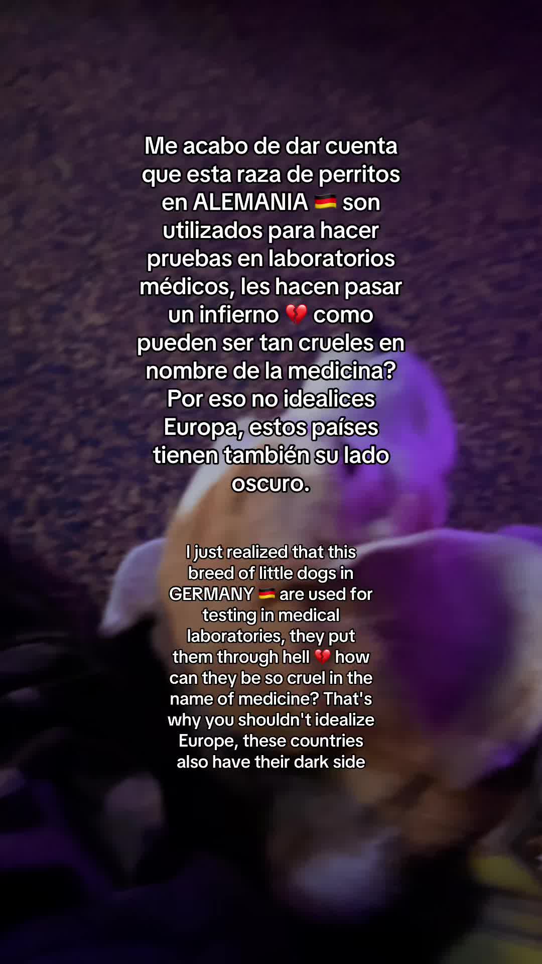 @antomarc.alv