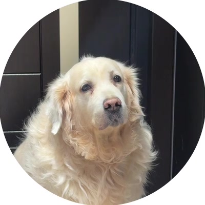 @trabalstar