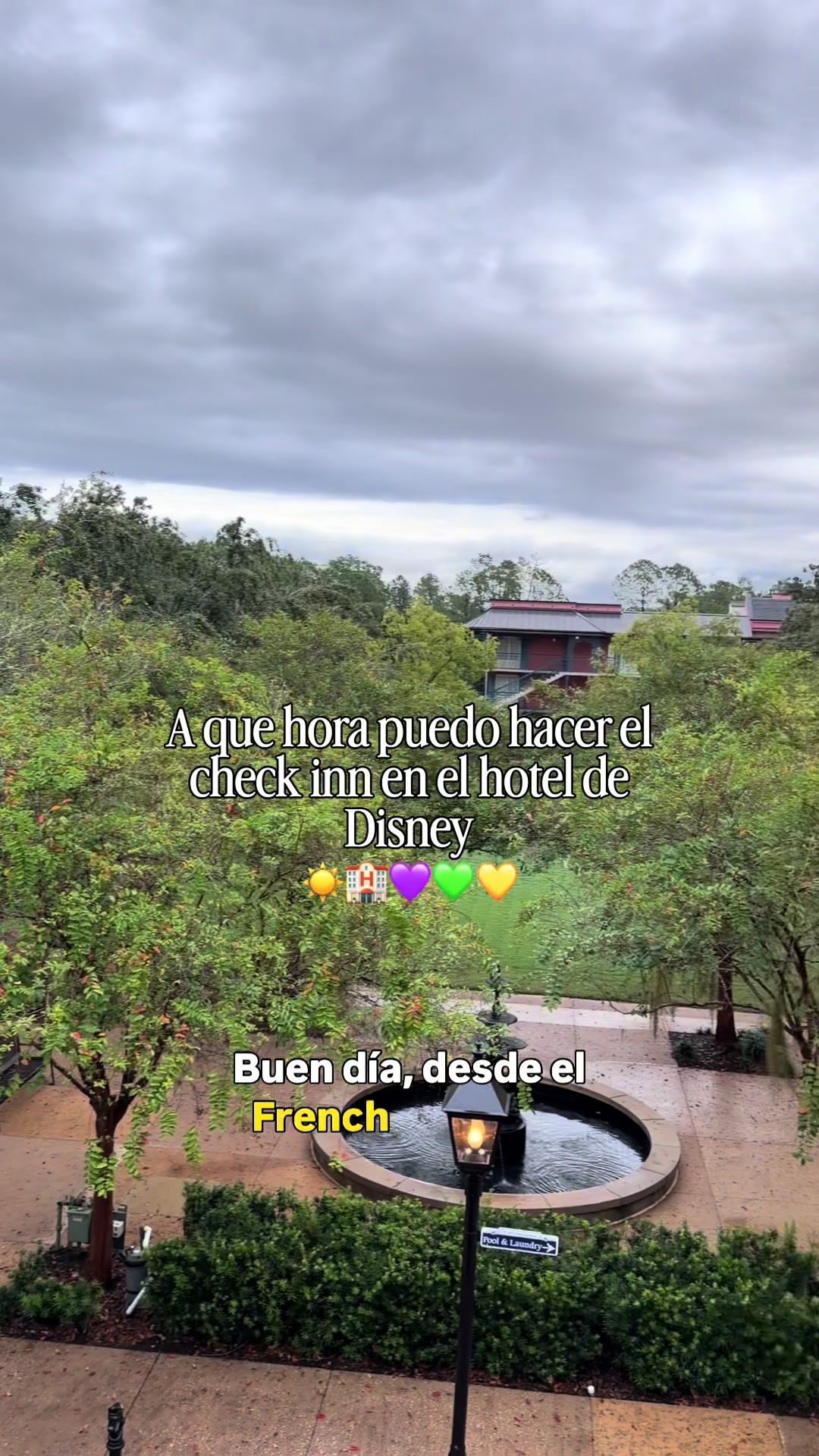 @LAURA RIVAS