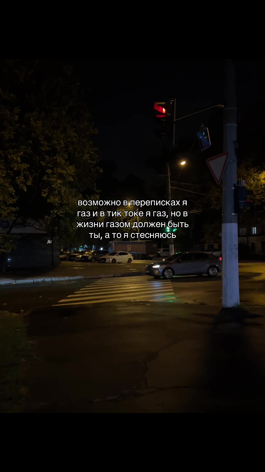 @мур мур 🐾
