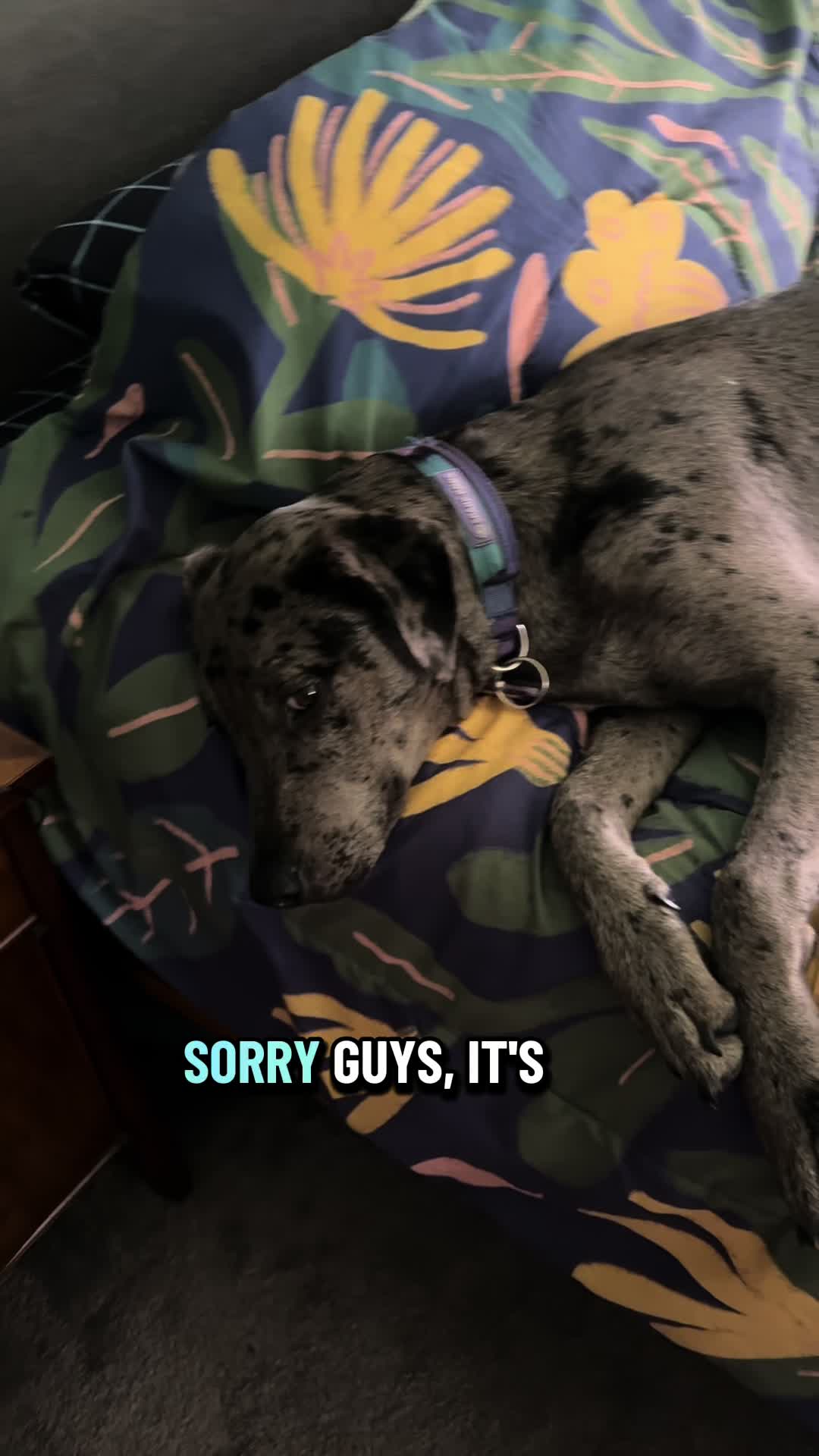 @Cedar Marsh Farm