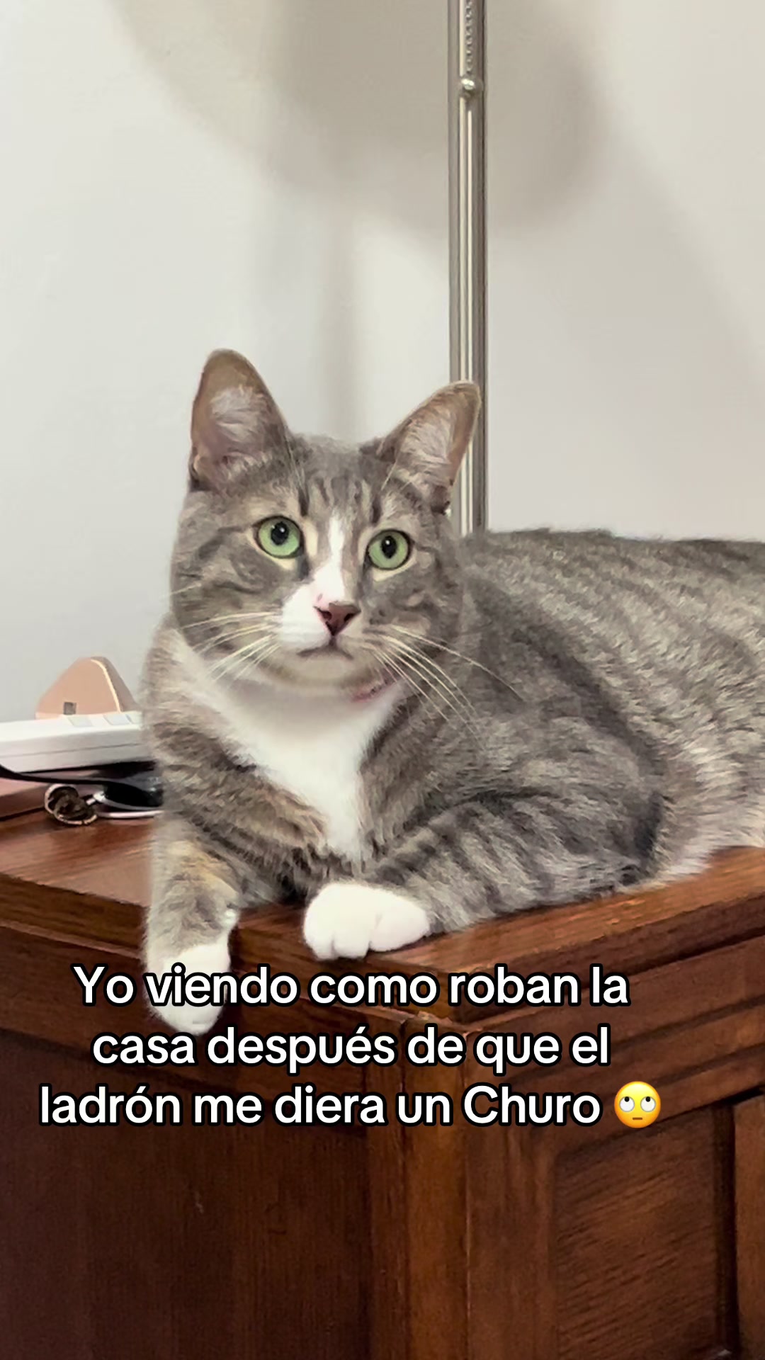 @michimatiass