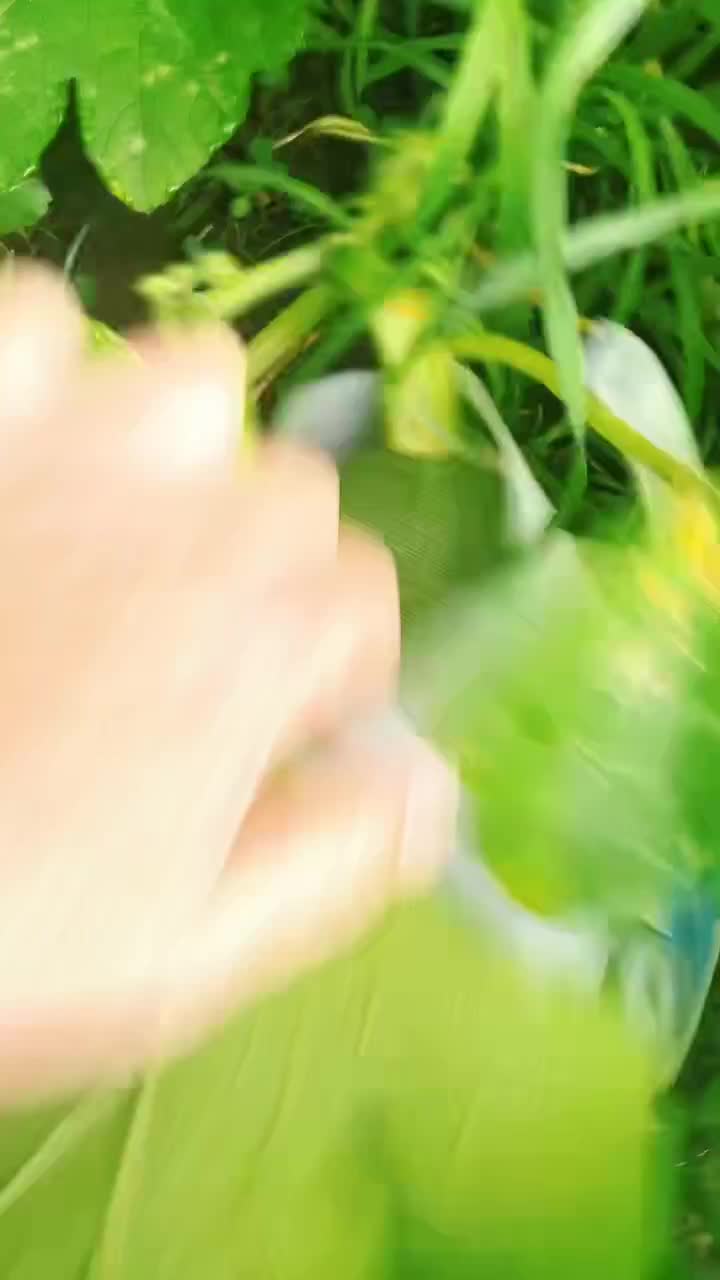 @silkyrose