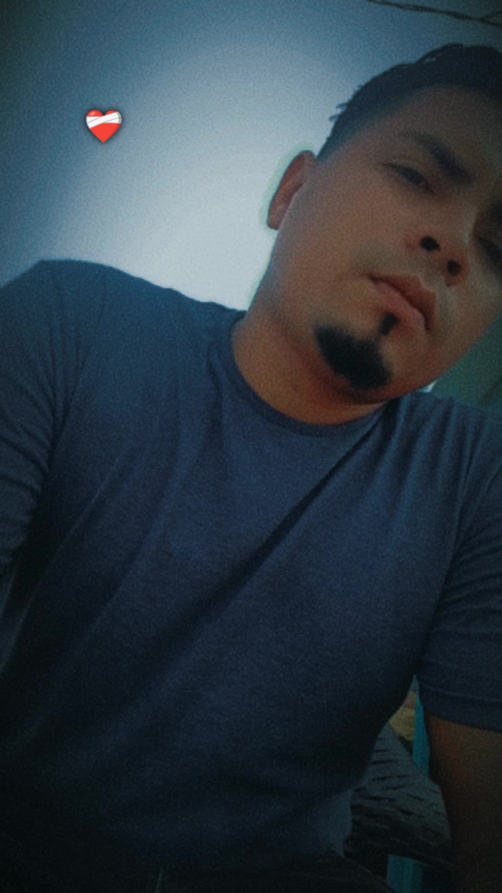 @Pollito 🐣 504