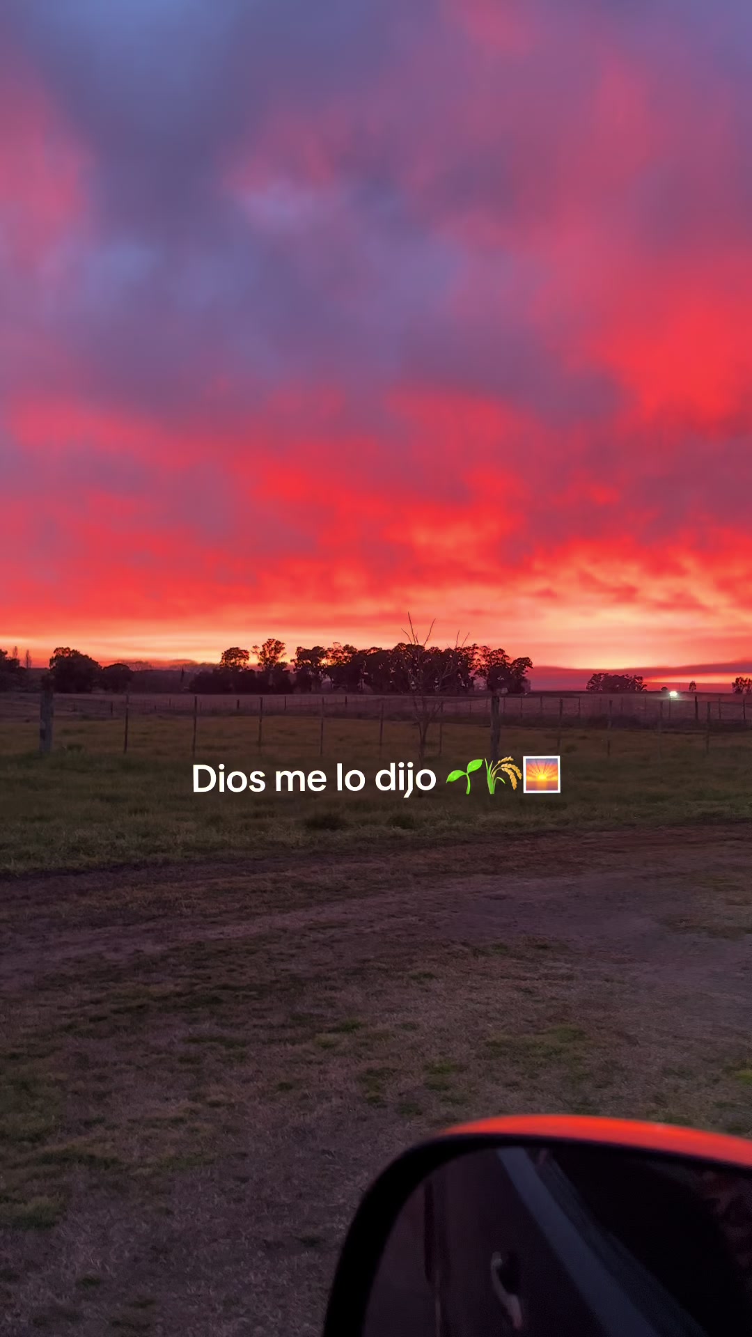 @Vicky🦋