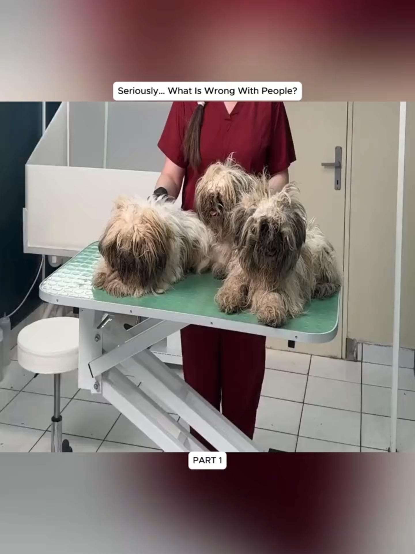 @Hope For Paws