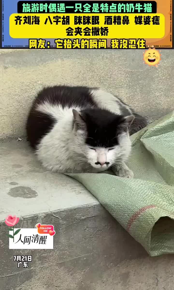 @人间清醒