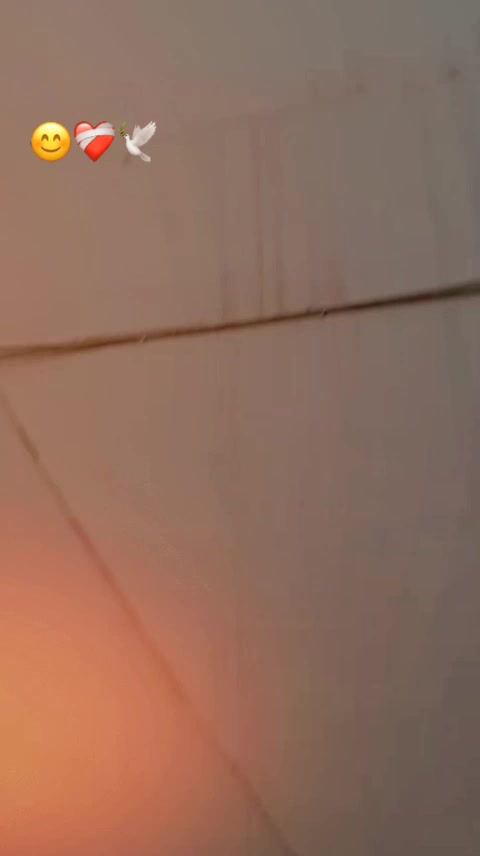 @MALIKZADAA ❣️❤️