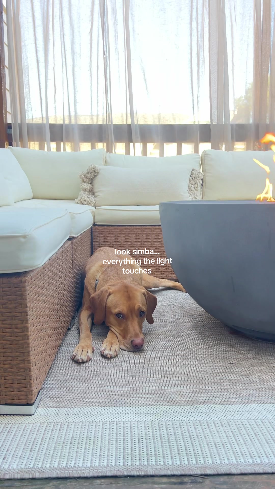 @hazellinteriors