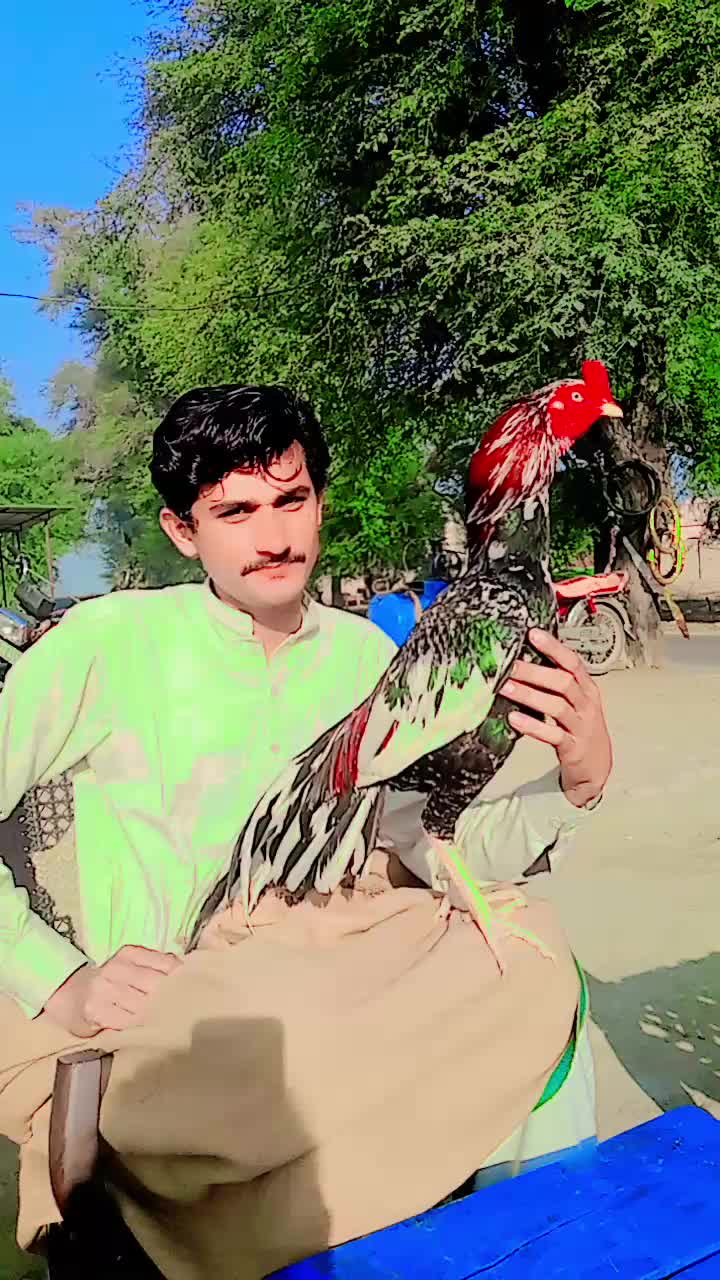 @Badshah Sahu