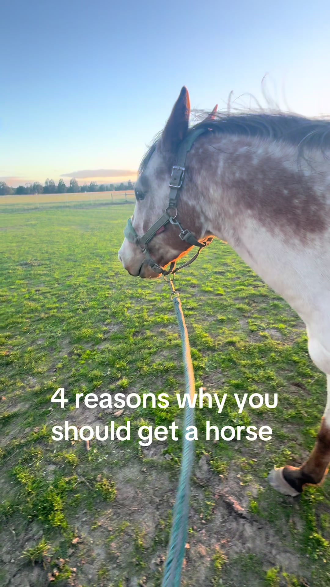 @Brynn.eq