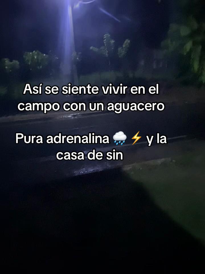 @carlitord240499