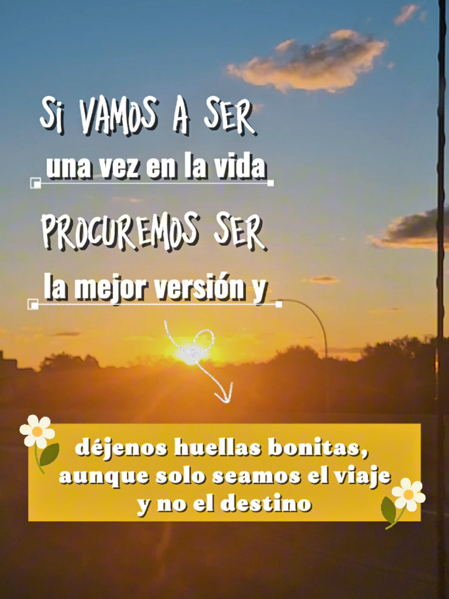 @Amelia Recomienda 💛💛🌱