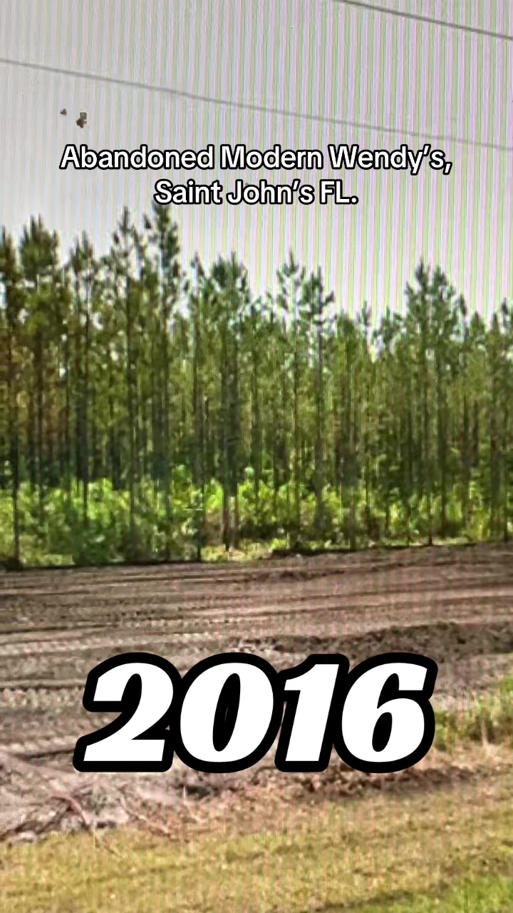 @officialgooglemapsperson