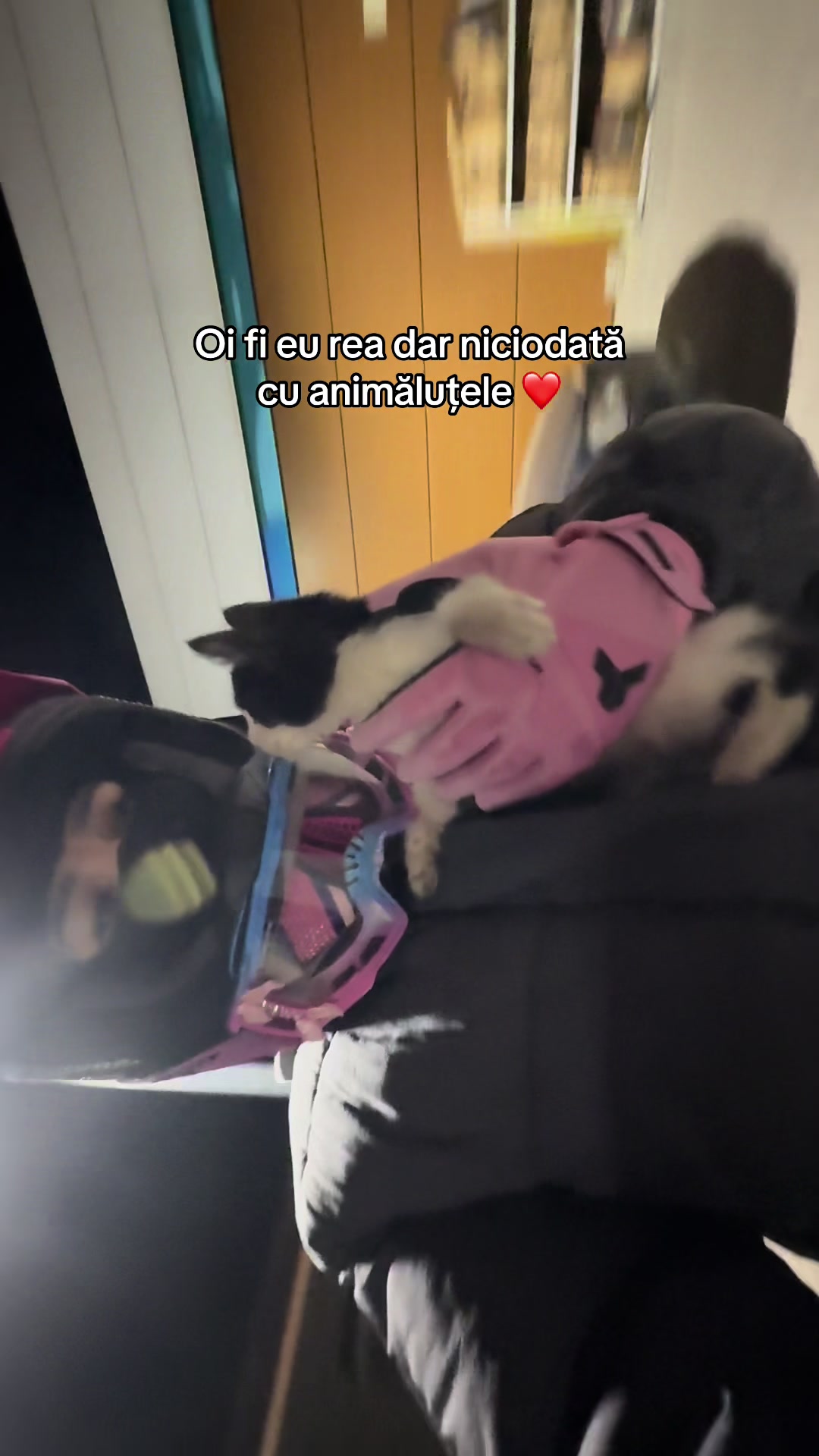 @nxsdenisaaa🐰🏍️