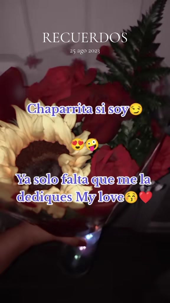 @Beatr&iacute;z🫅🏻🤩🌻