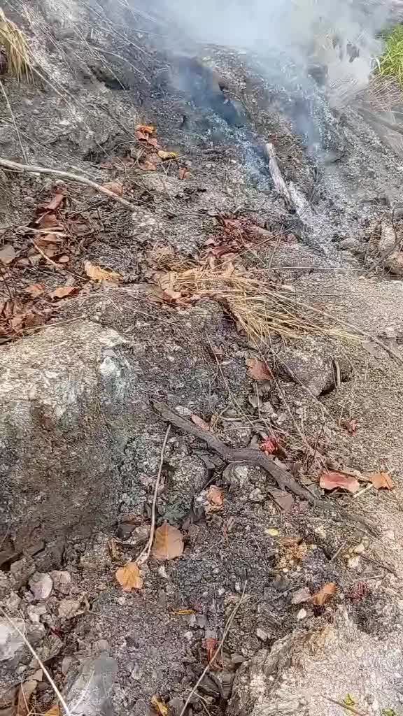 @Bom raj soti