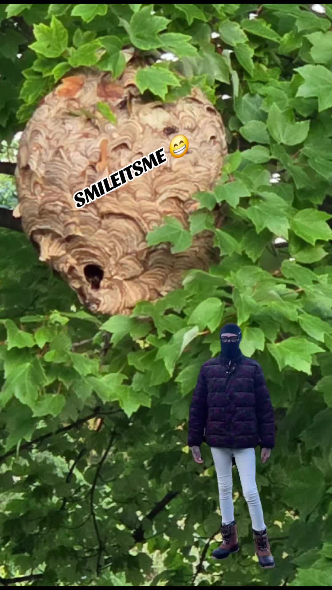 @Mr. SMILEITSME 😁