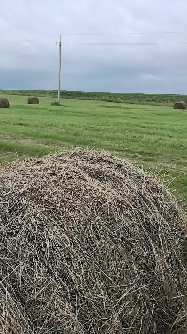 @любава