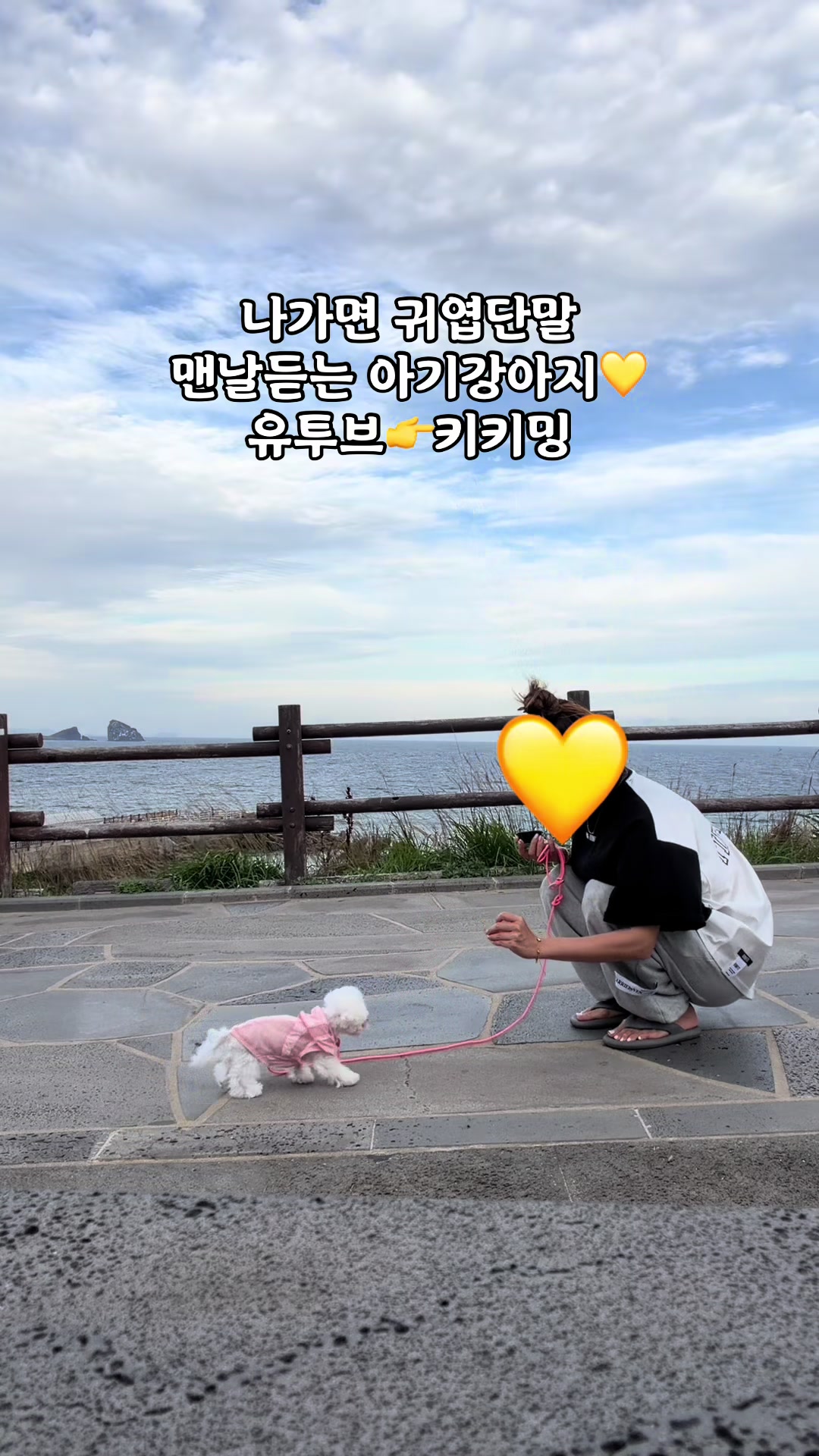 @jeju_kiki