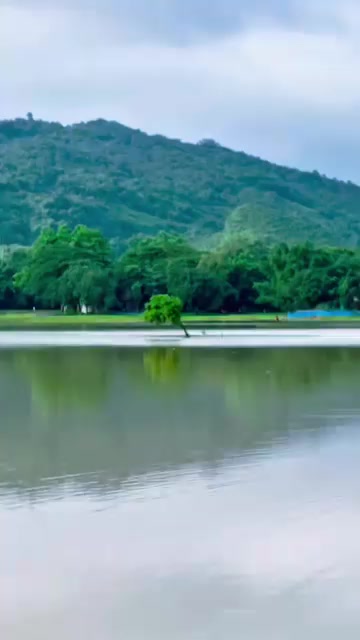 @Sobuj Chowdhory🇧🇩🇧🇷🇸🇦