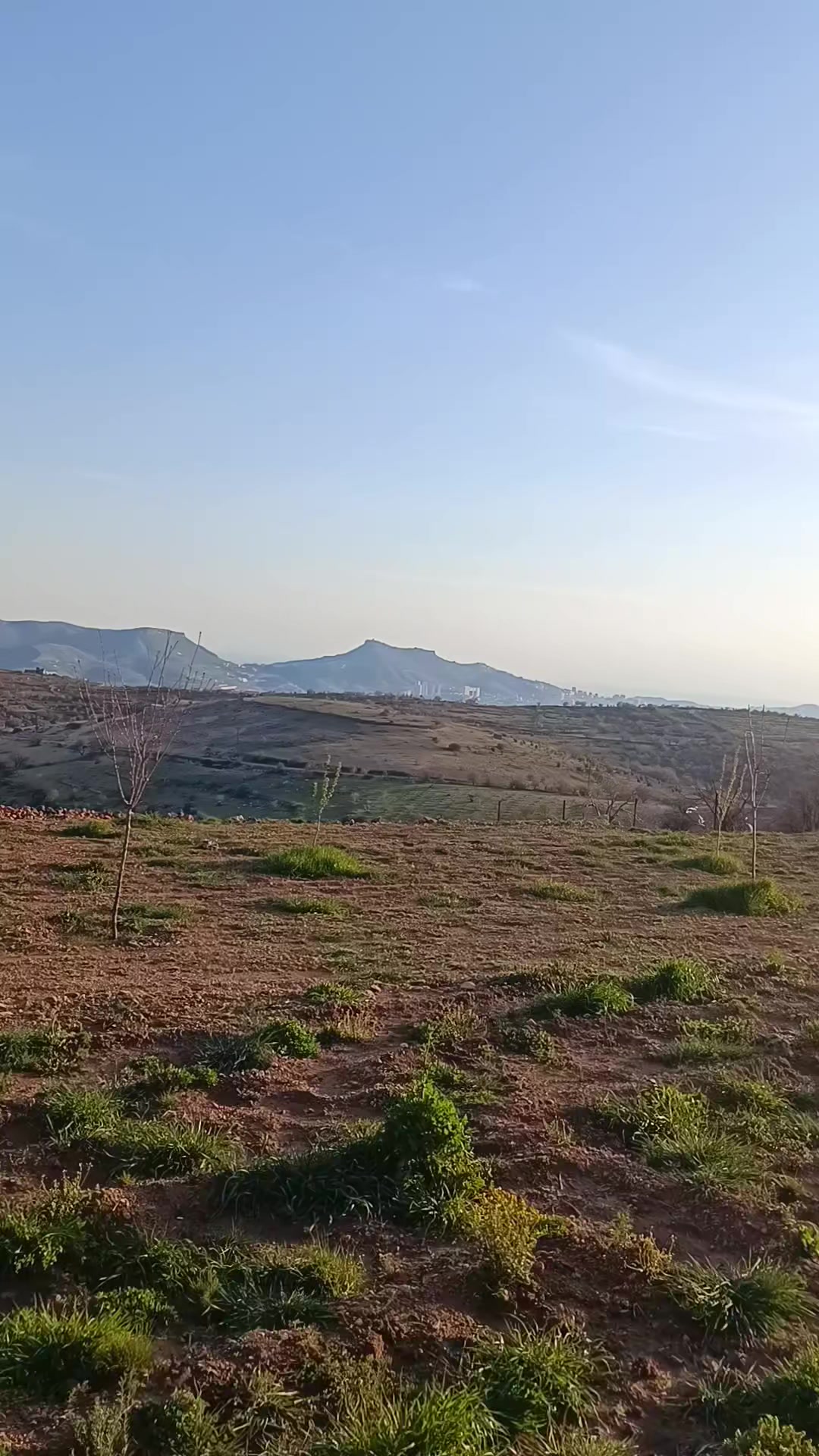 @Murat &ccedil;okan