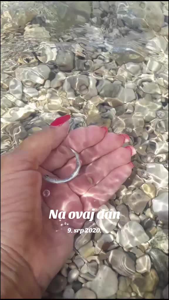 @Tatyana Tadić