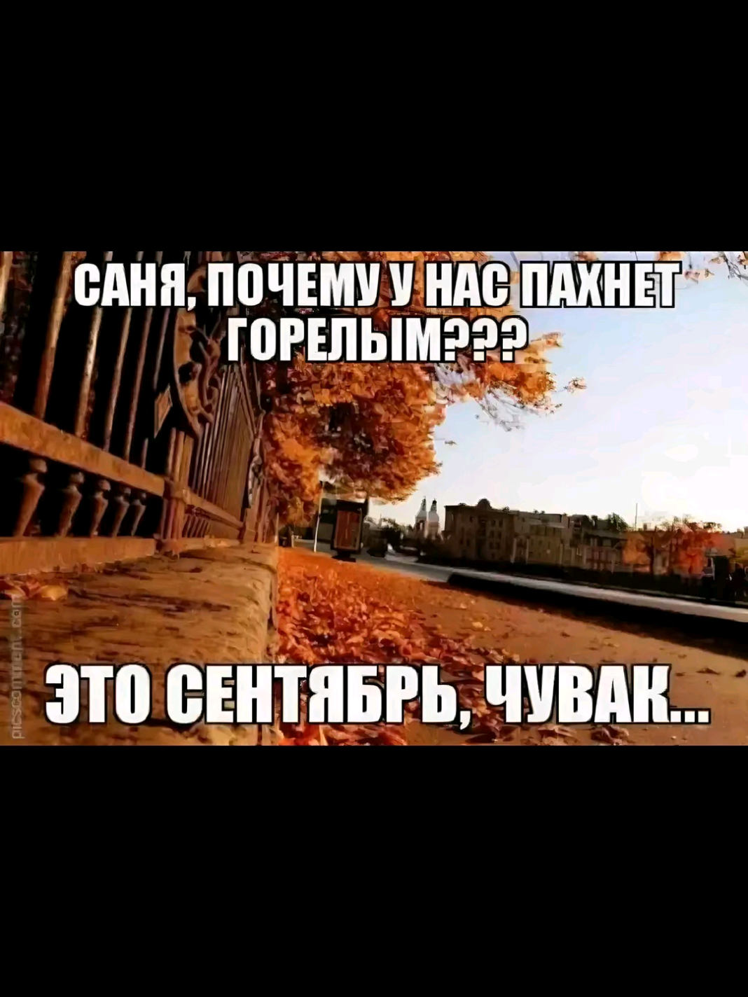 @𝕽𝖎𝖓𝖆