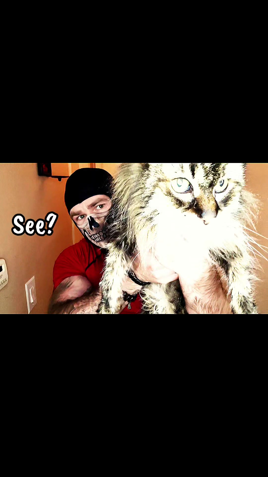 @TheMidnightRaven