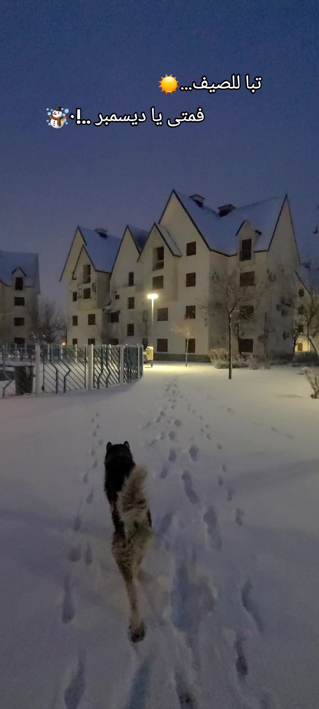 @ifrane city