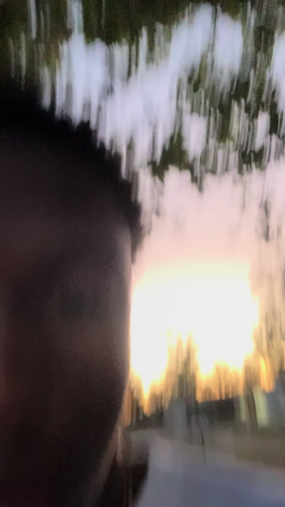 @438._j1