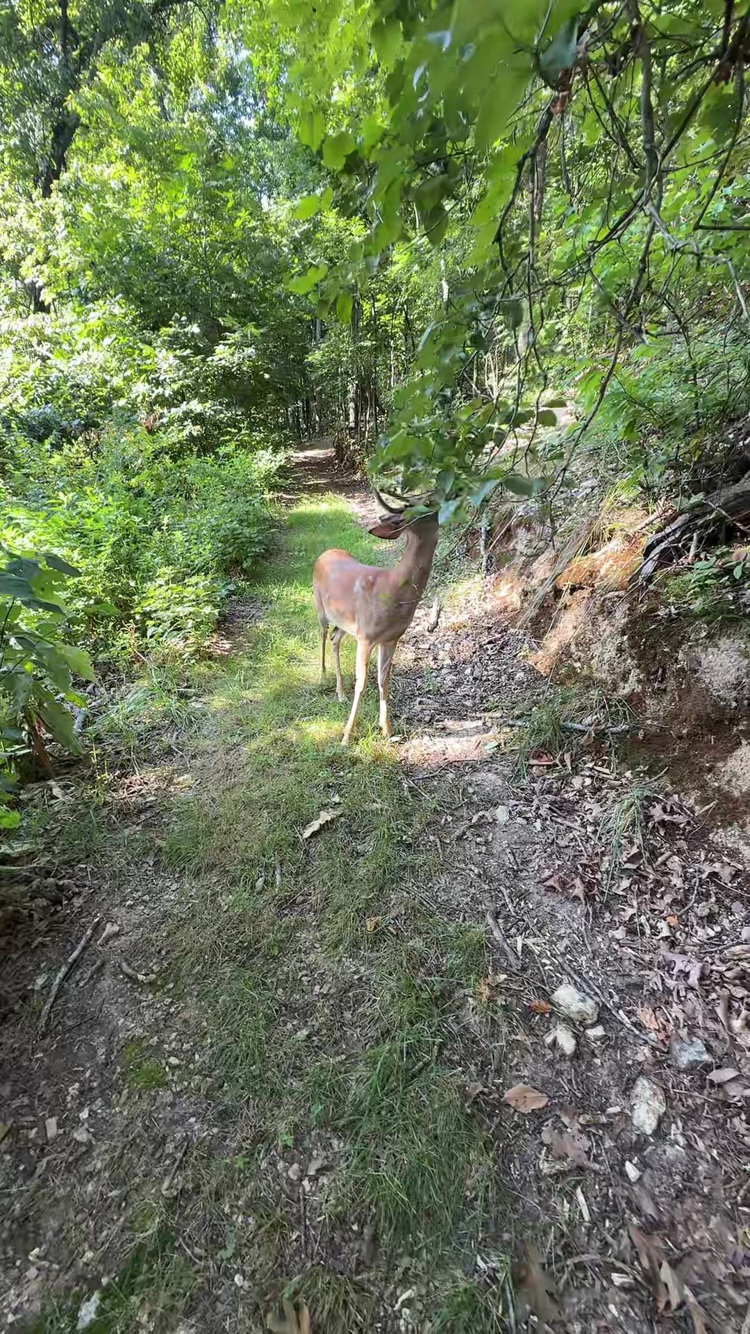 @Brownhikingtrails