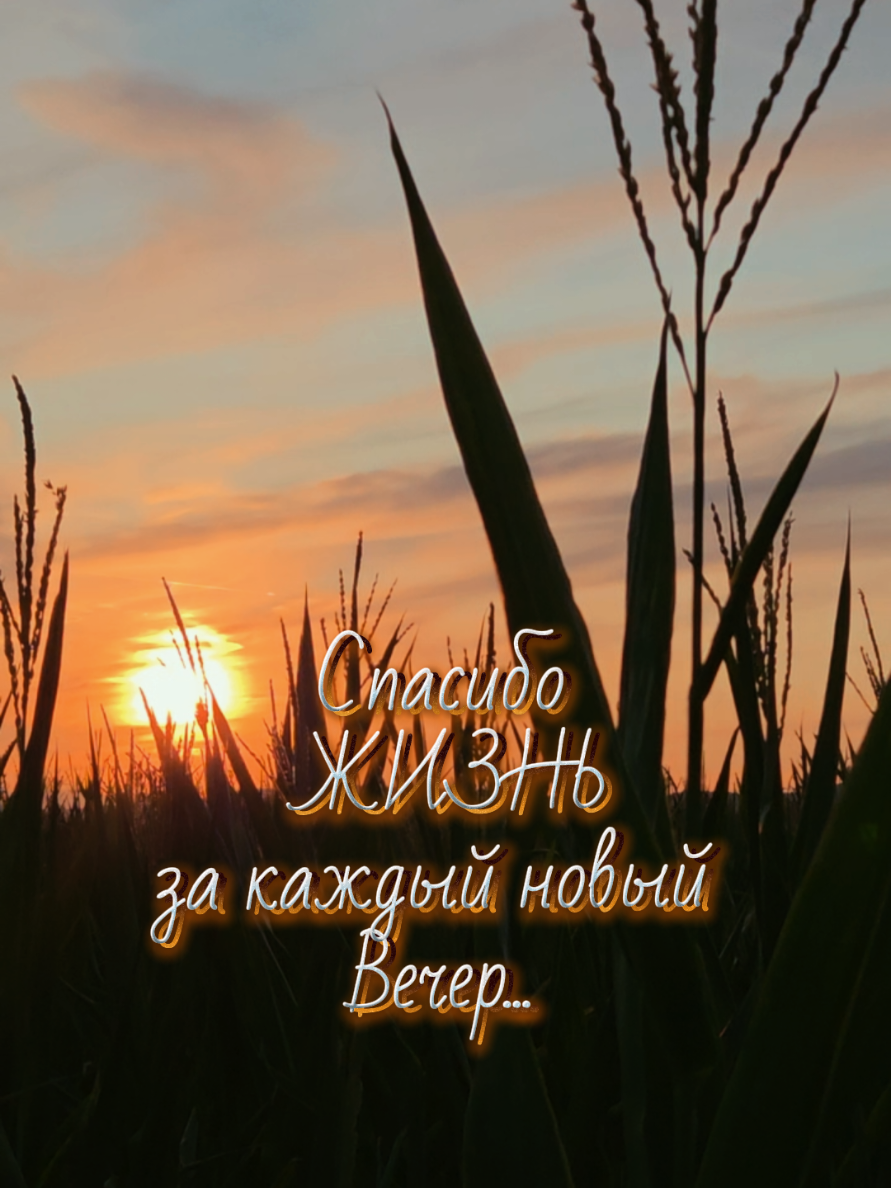 @✨Елена✨