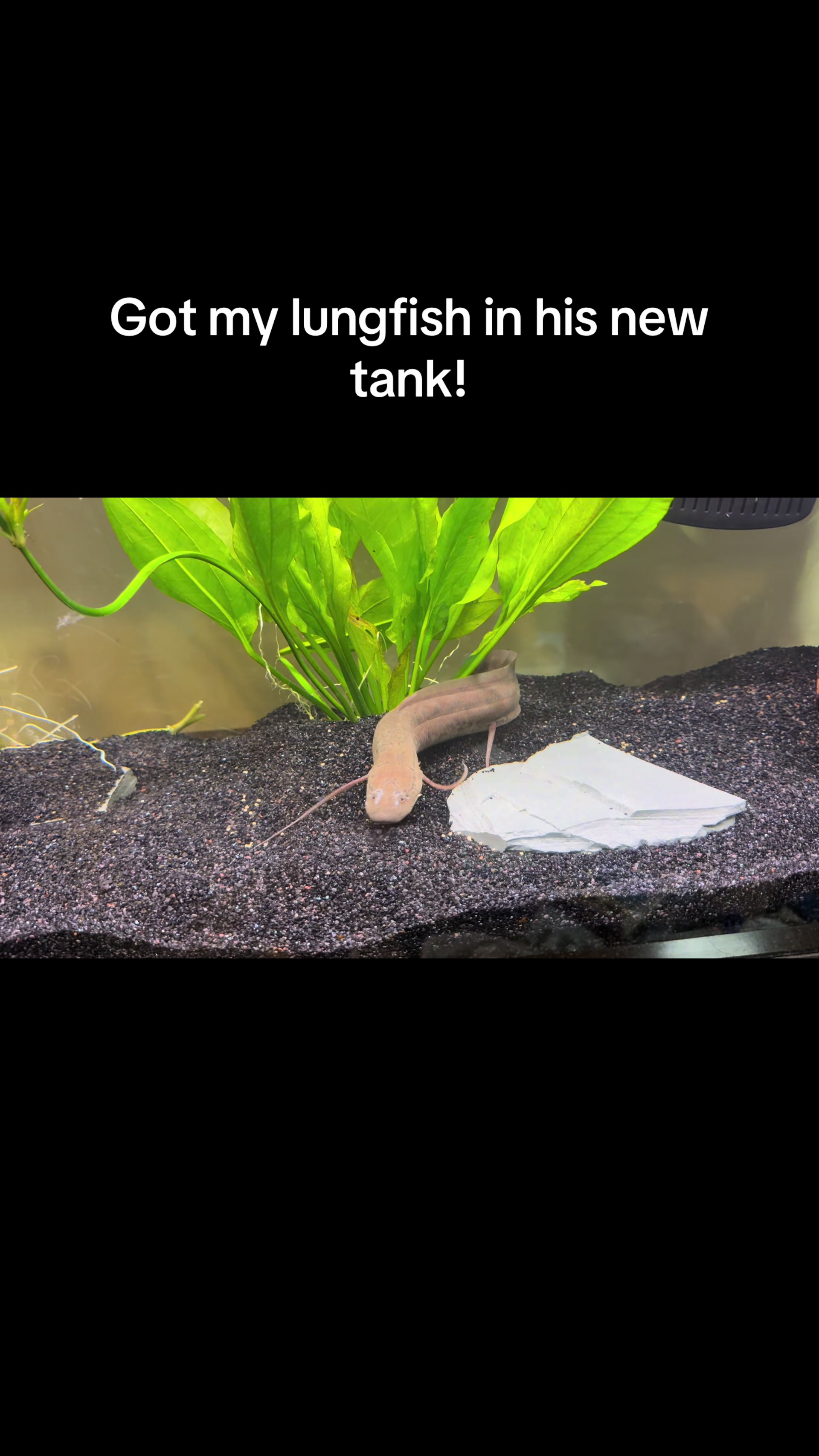 @fishdaddy2002