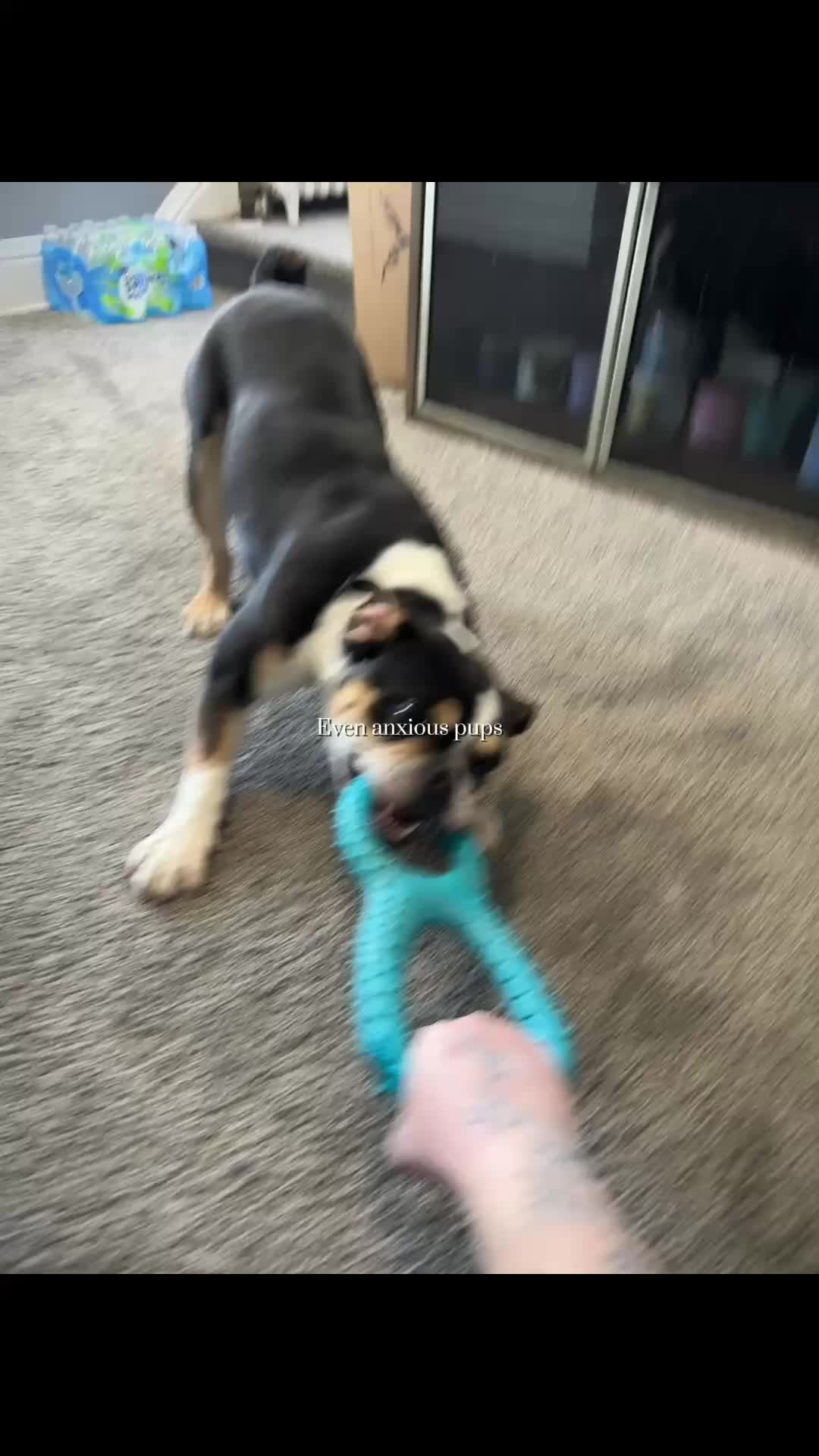 @2 Meagz