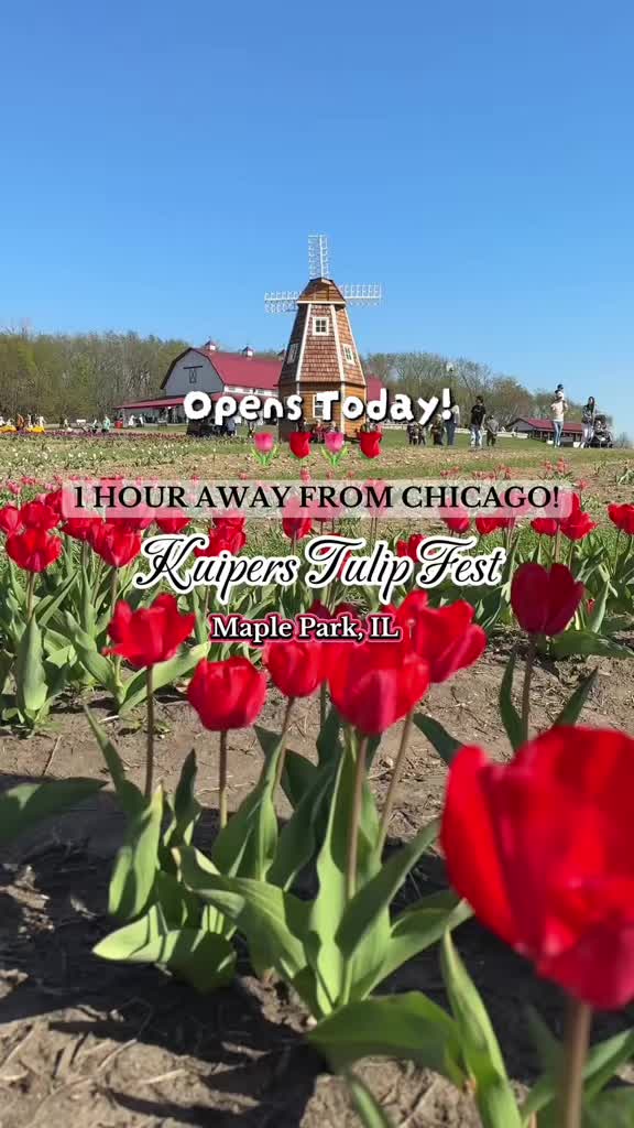 @Explorewindycity