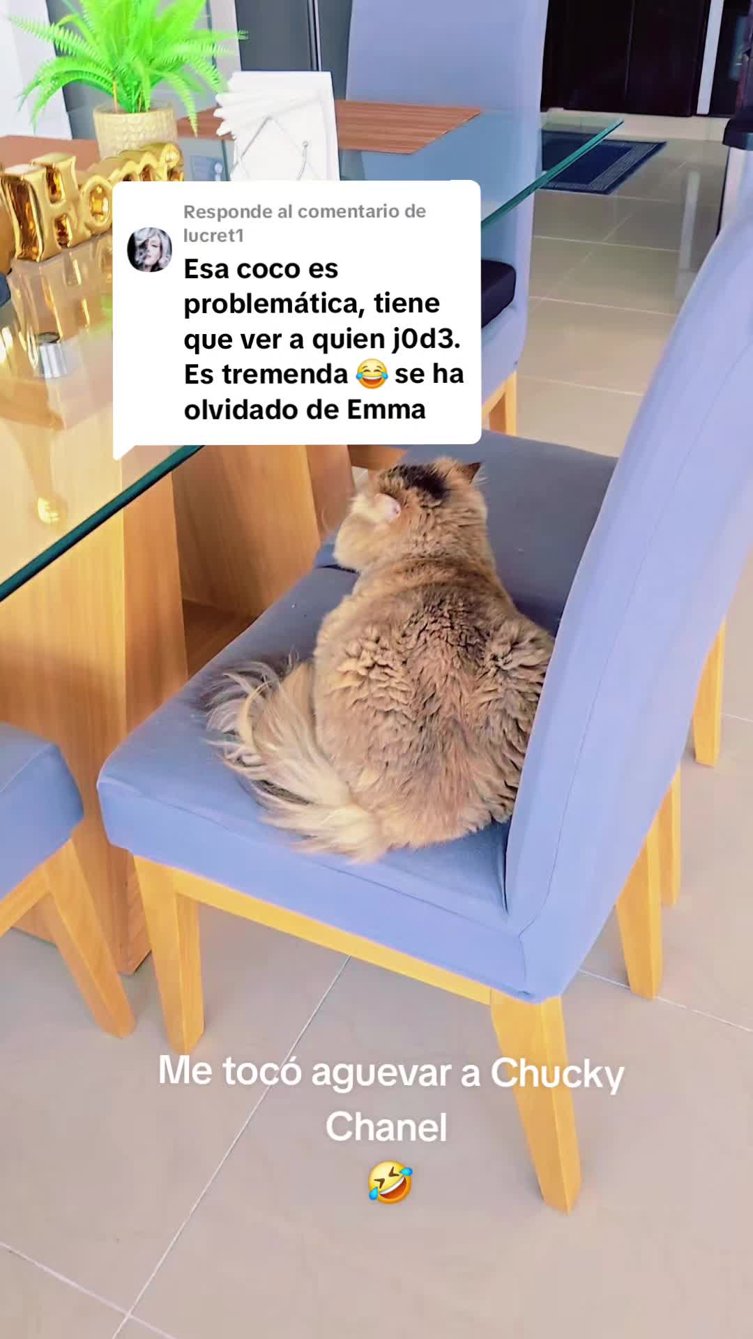 @Luna