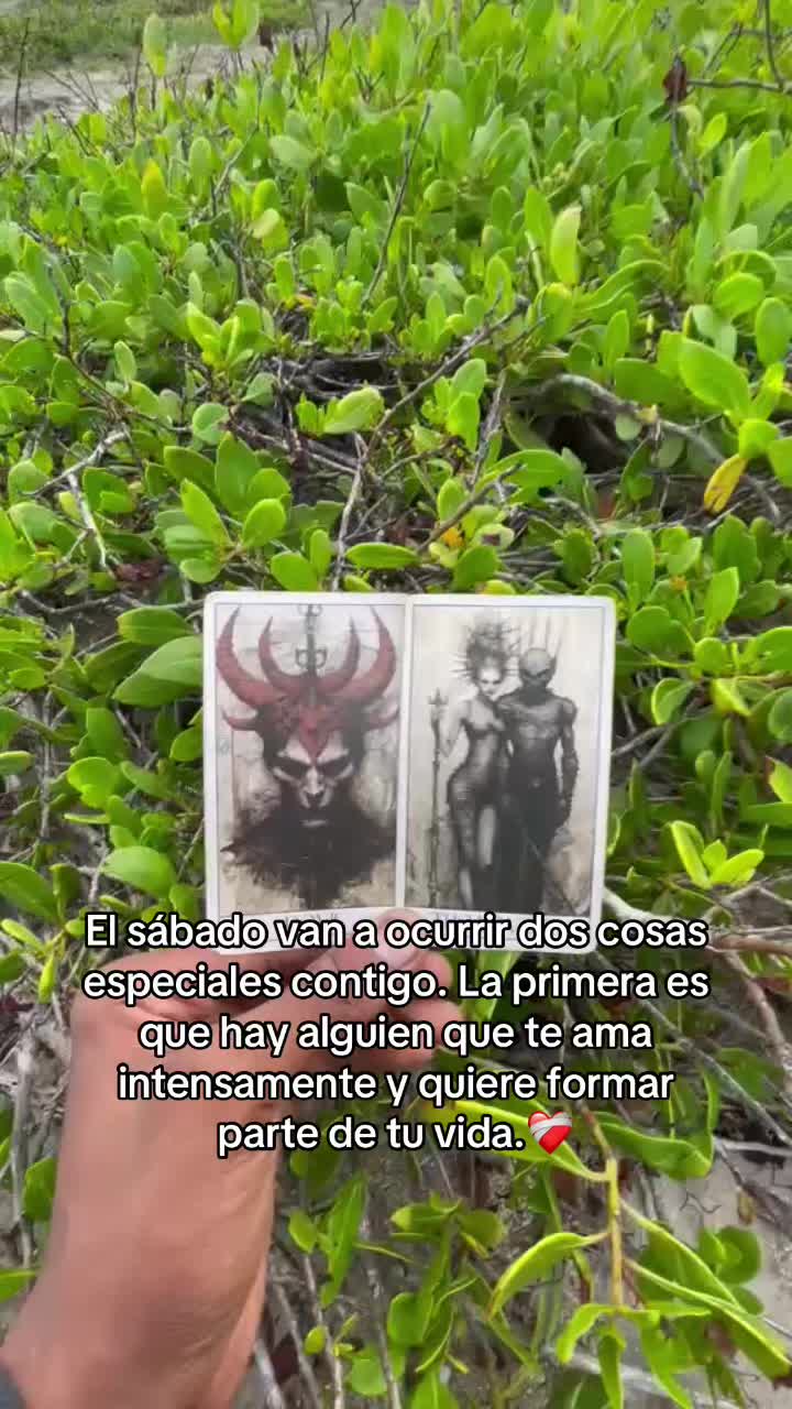 @San Miguel Tarot Sin Secreto🔯