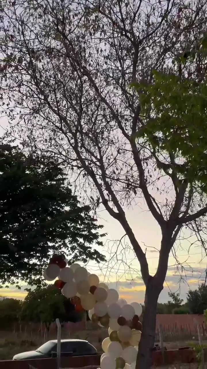 @mariavitoria__a