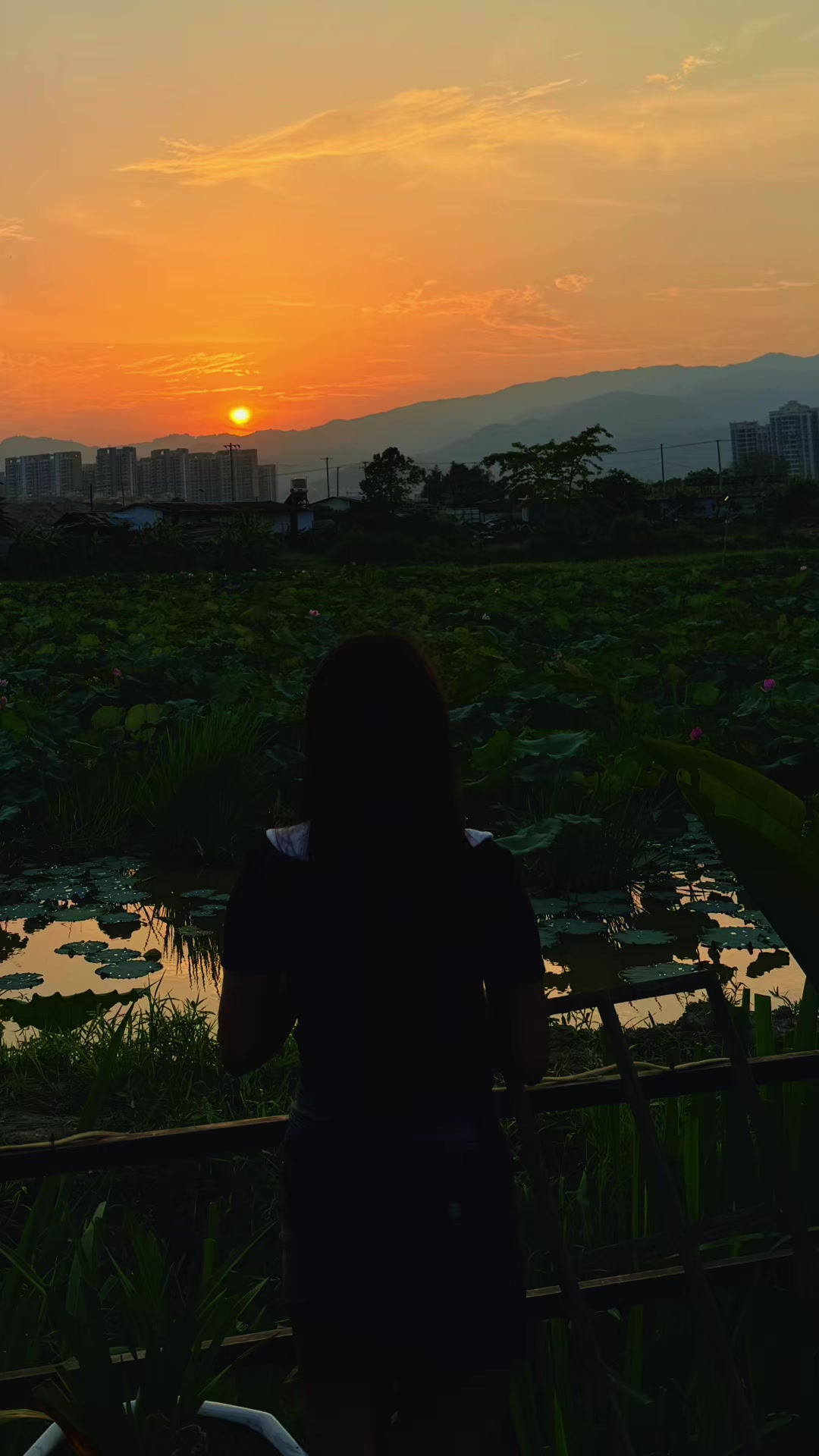 @Zin Mar Nwe