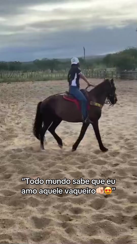 @Marcela Araujo