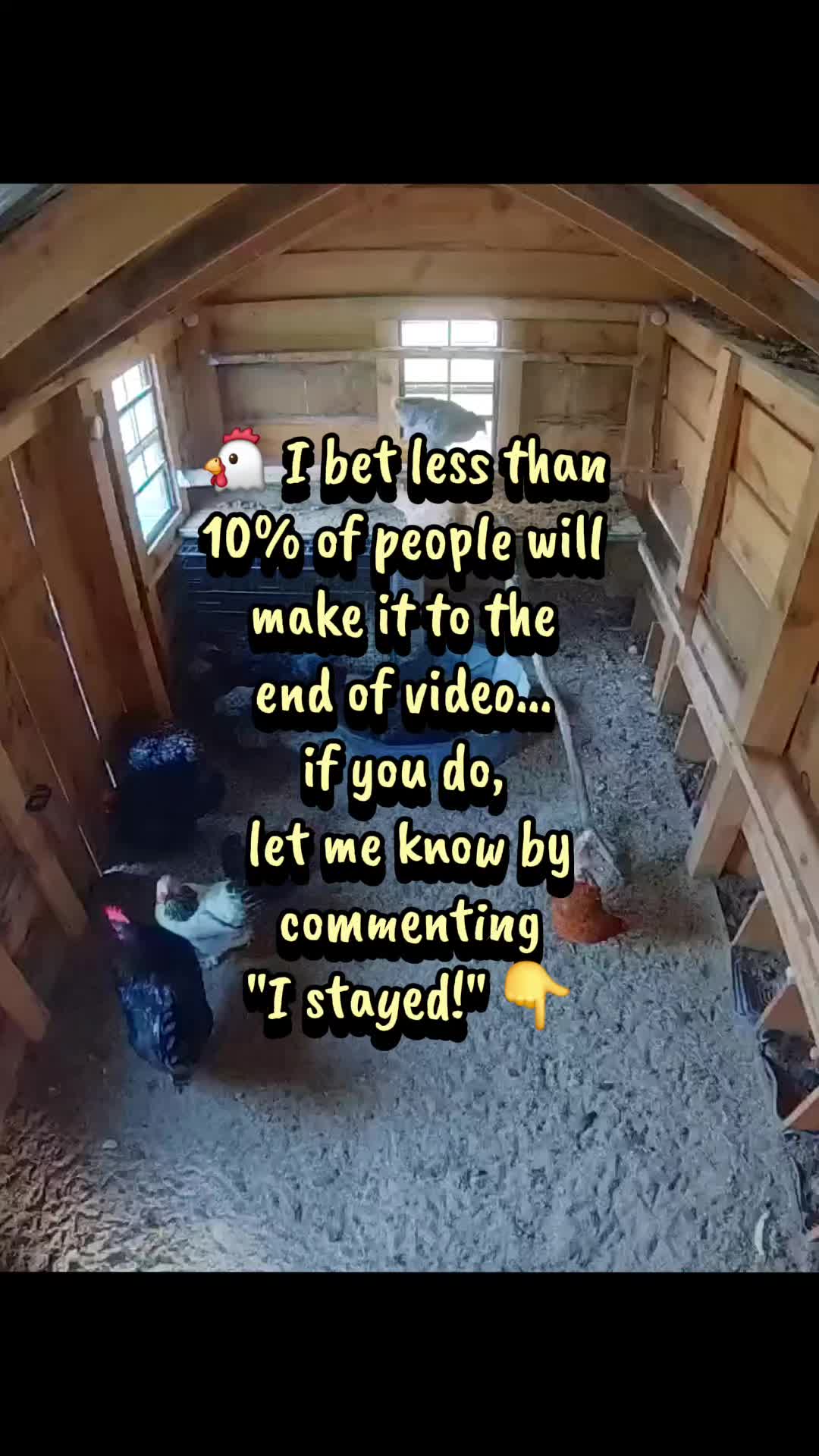 @CluelessClucker❌️