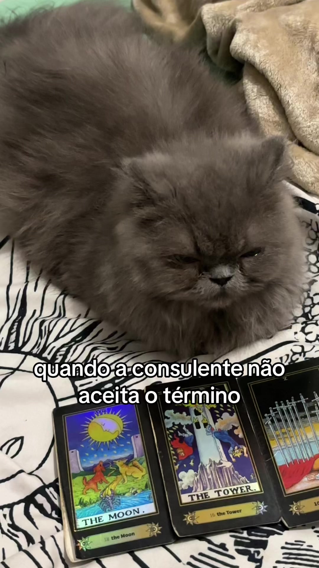 @melzinho de feira