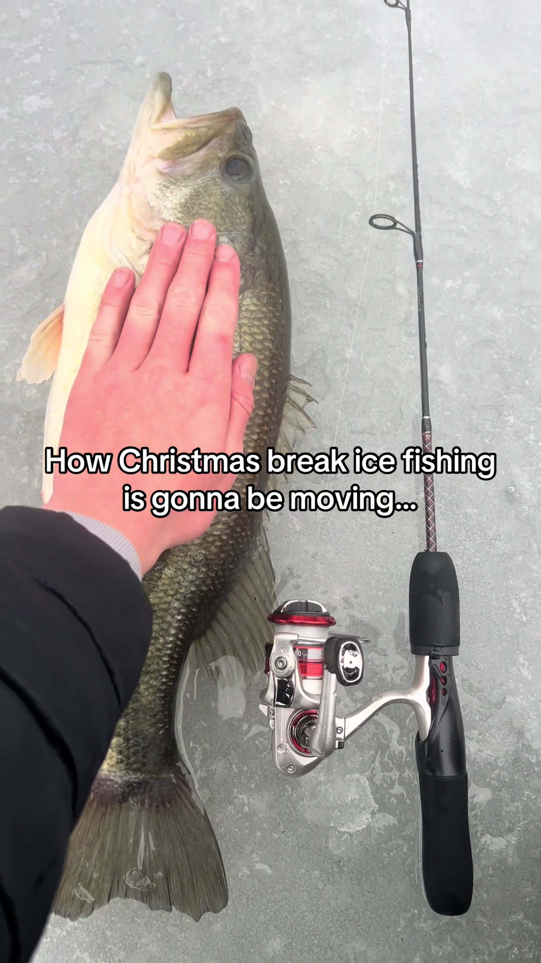 @FattBassFishing