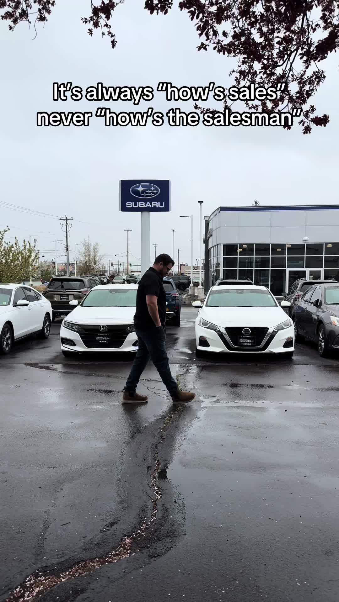 @KFalls Honda and Subaru 🚙