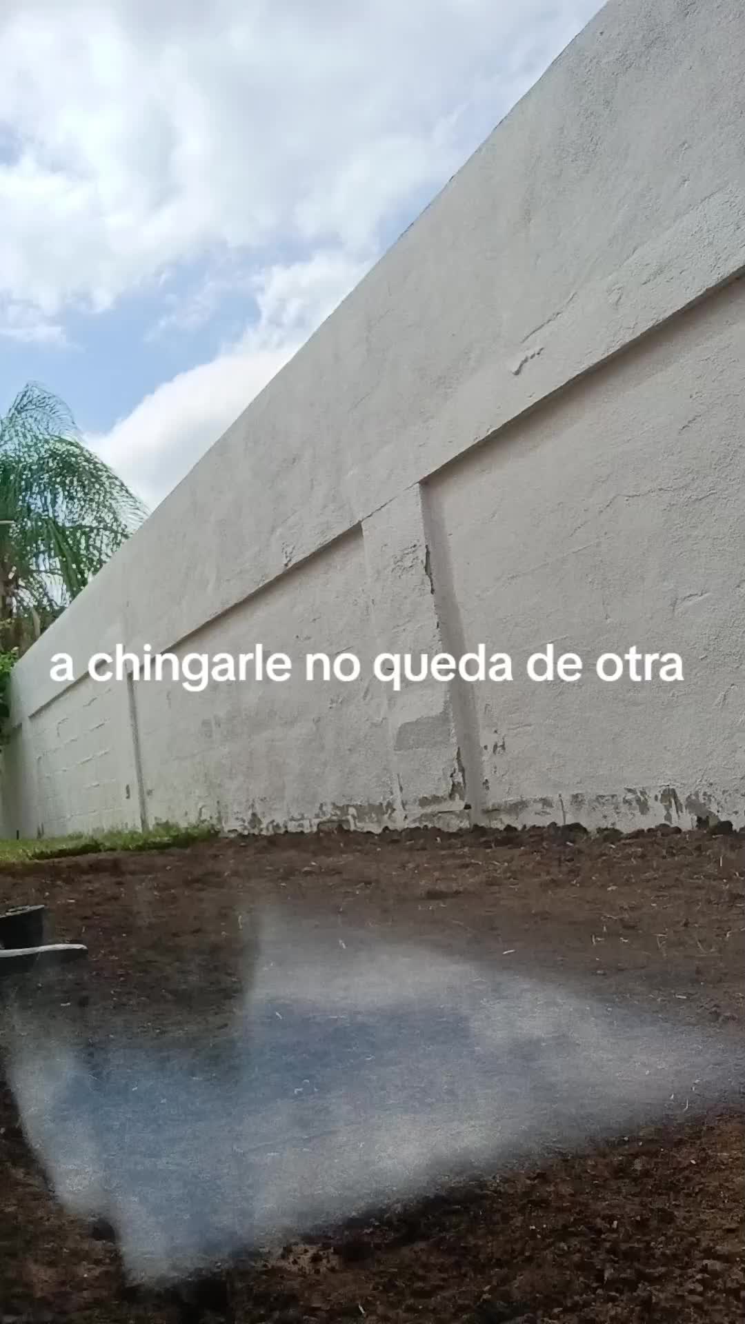 @luna Pérez