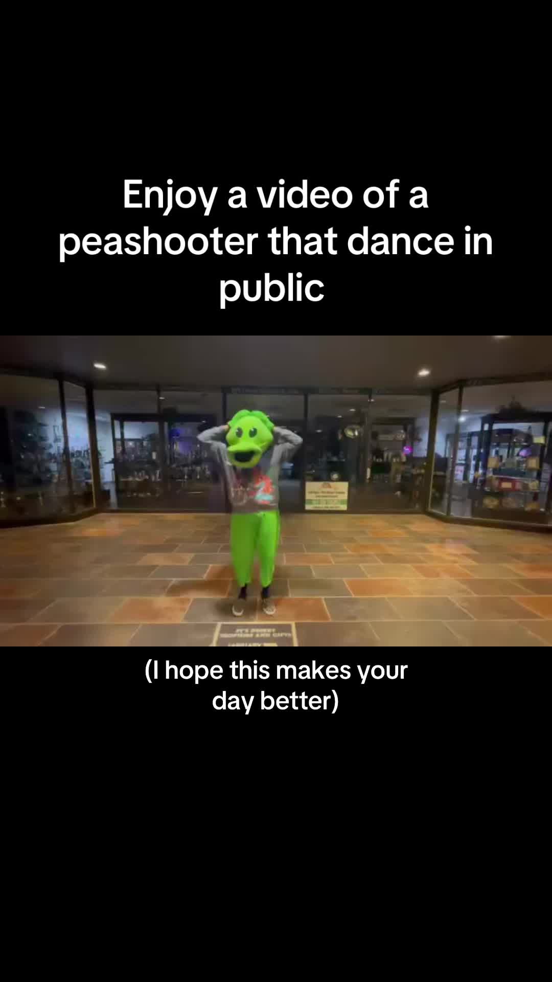 @Goofyahhpeashooter