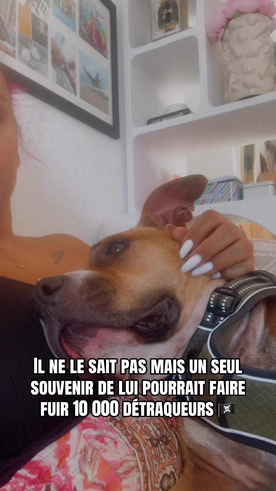 @Labarbiere.dusud