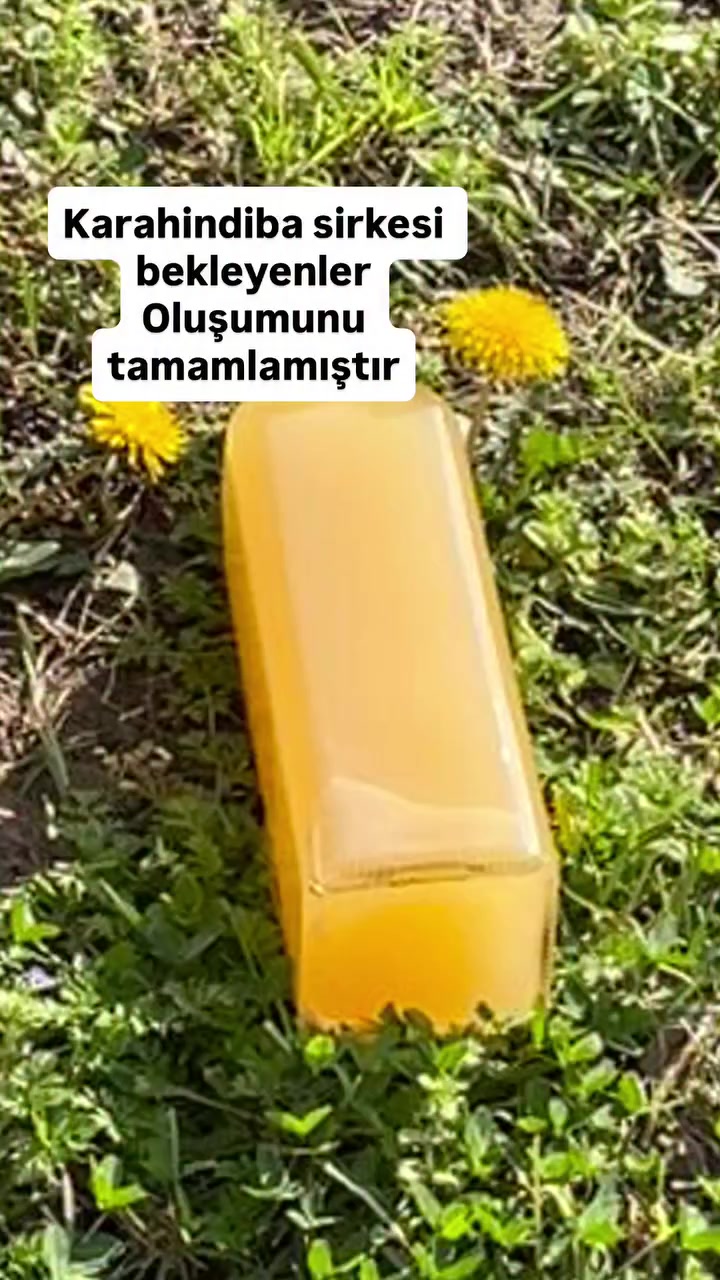 @Gül 🌹 rose