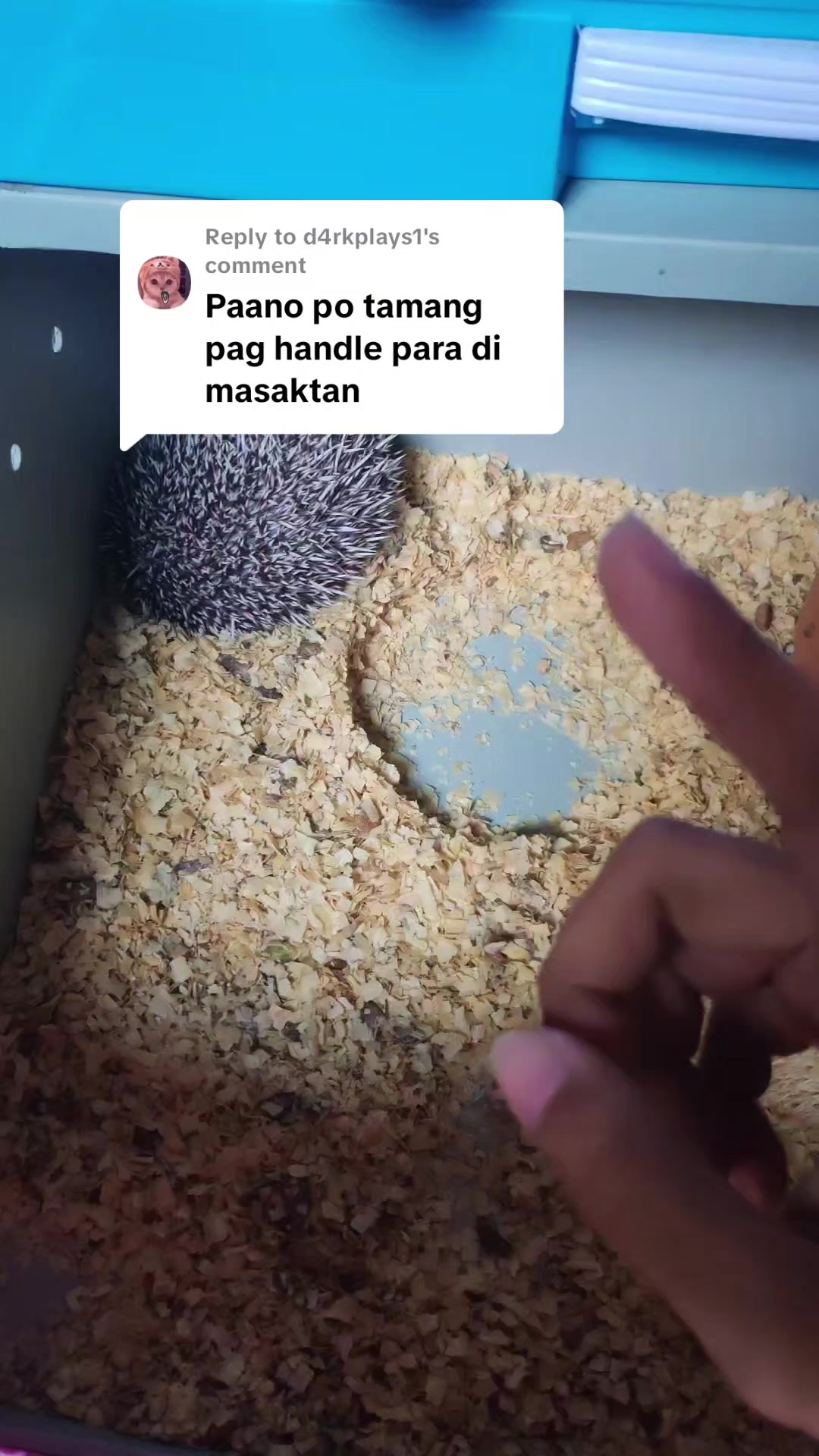 @Kuya AD